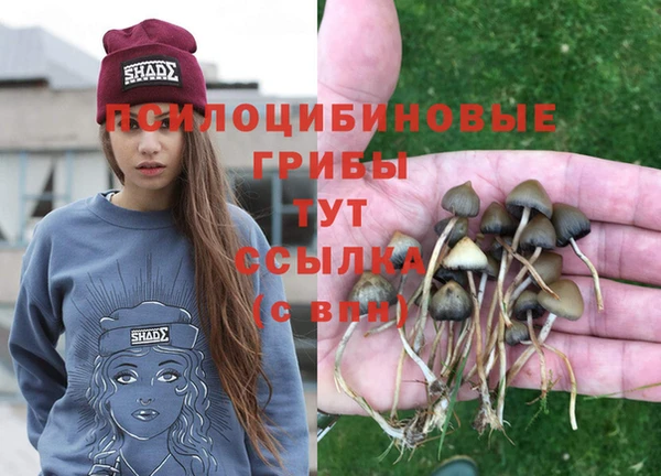 МДМА Богородицк
