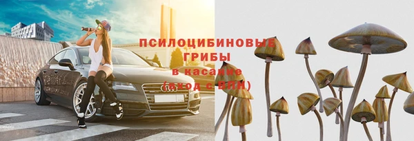 mdpv Белокуриха