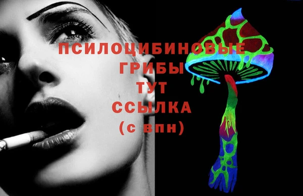 МДМА Богородицк