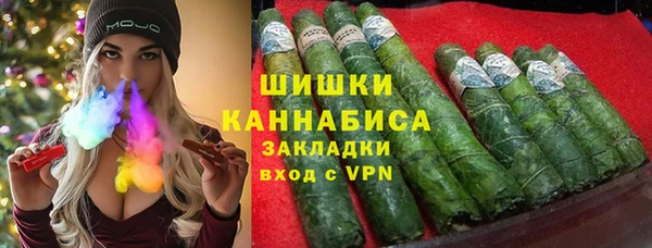 молекула духа Богородск