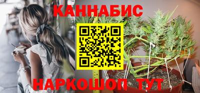 прущие грибы Будённовск