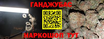 прущие грибы Будённовск