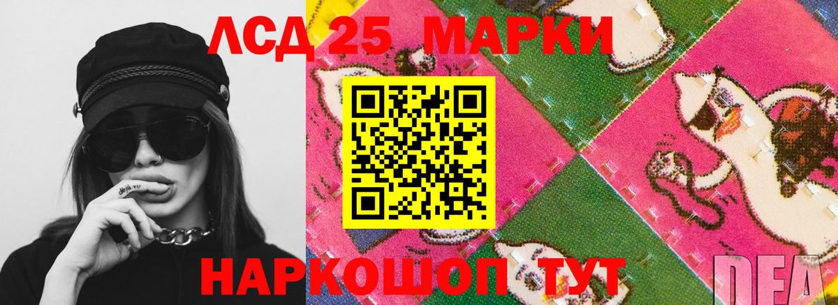 Галлюциногенные грибы Гудермес