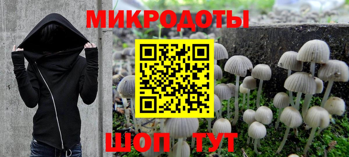 Галлюциногенные грибы прущие грибы  Гудермес 