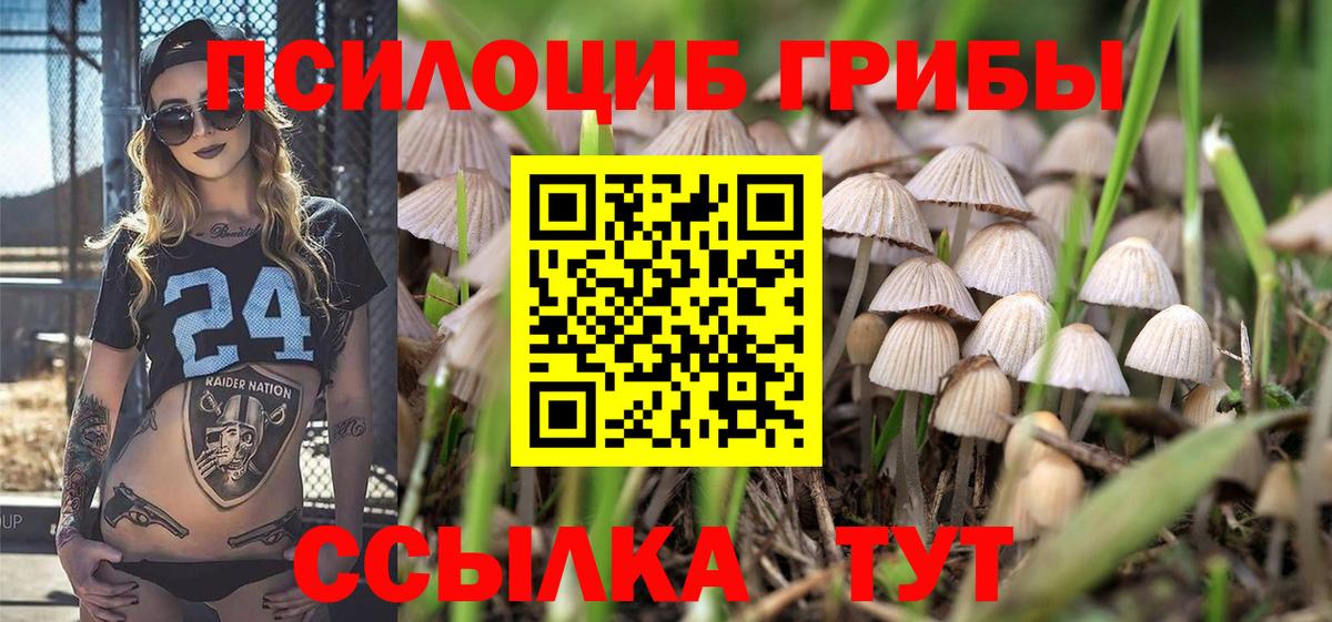 Псилоцибиновые грибы мухоморы Гудермес