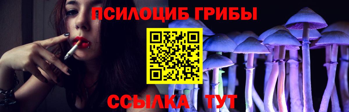 Гудермес  Галлюциногенные грибы мицелий  Вход с VPN  Галлюциногенные грибы GOLDEN TEACHER 