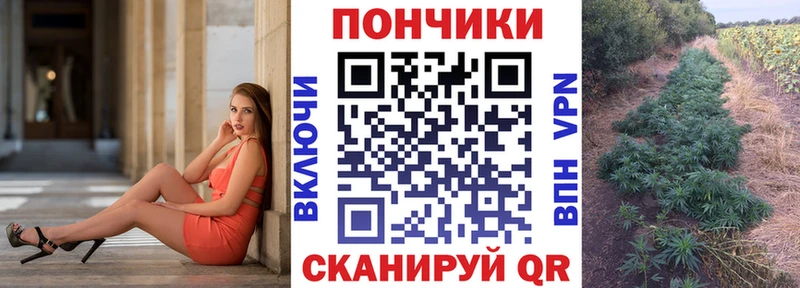OMG ССЫЛКА  Гудермес  Шишки марихуана OG Kush 