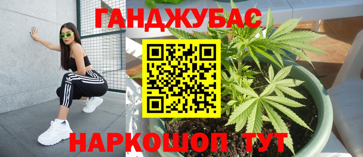 Канабис план  Марихуана индика  Каннабис Ganja  Гудермес  Вход с VPN  Конопля Bruce Banner 